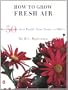 How To Grow Fresh Air