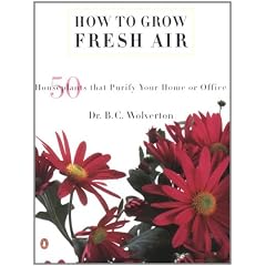 How to Grow Fresh Air: 50 House Plants That Purify Your Home or Office