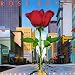 Stronger Than Ever von Rose Royce - alle Infos