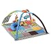 Infantino Twist and Fold Activity Gym, Vintage Boy
