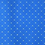 ミヅシマ アルマット 411-1254 920×10M ブルー