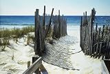 Canvas Art: Beach Access 24" x 36" [Kitchen]
