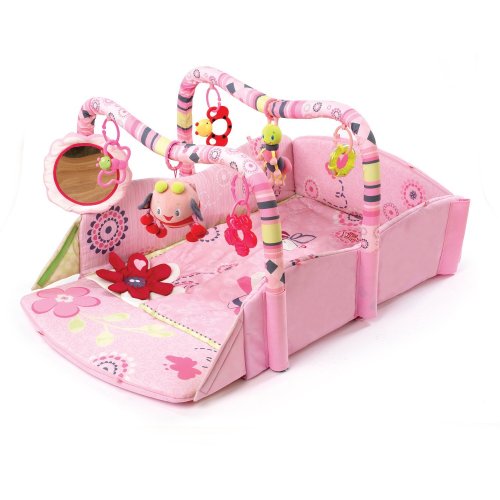 Buy Low Price KIDS II Bright Starts Pink Baby’s Play Place B002C1ABQI