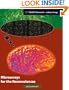Microarrays for the Neurosciences: An Essential Guide (Cellular and Molecular Neuroscience)