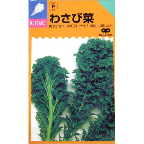 Cover image : 爽やかな辛みが好評！ わさび菜 数量:6ml