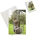 Photo Jigsaw Puzzle of Grey Squirrel trapped inside a squirrel proof bird feeder from Ardea Wildlife Pets