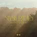 Stash Rituals: Mexican Summer/Software Spring 2012 Sampler