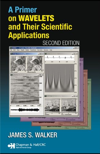 A Primer on Wavelets and Their Scientific Applications, Second Edition (Studies in Advanced Mathematics)