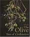 Search : The Olive, Tree of Civilization