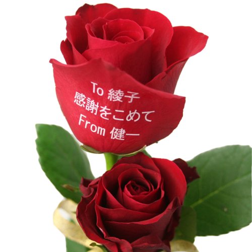 フローリッシュ メッセージローズ (生花) レッド 2本 申込みキット 18597
