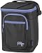 Foogo by Thermos 4 Bottle Cooler Insulated - Blue