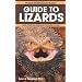 Lizards and caring for them