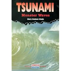 Tsunami: Monster Waves (American Disasters)
