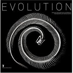 Evolution