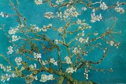 Almond Blossom Poster Print by Vincent van Gogh, 36x24 Floral & Botanical Poster Print by Vincent van Gogh, 36x24