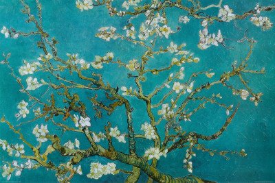Almond Blossom Poster Print by Vincent van Gogh, 36x24