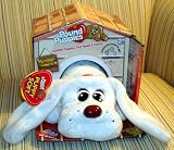 Pound Puppies Puppy Dog Plush Stuffed Animal White Dog with Long Ears - DVD included