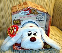 Pound Puppies Puppy Dog Plush Stuffed Animal White Dog with Long Ears - DVD included