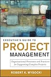 Executive's guide to project management : organizational processes and practices for supporting complex projects