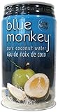 Blue Monkey