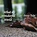 Search : What a Wonderful World