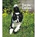 Border Collie 2009 Hardcover Weekly Engagement Calendar