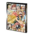 ワンピースフィルム ストロングワールド DVD 10th Anniversary LIMITED EDITION 【完全初回限定生産】