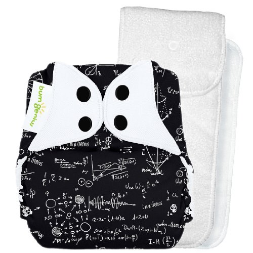 BumGenius 4.0 Pocket Cloth Diaper - Snap - Albert - One Size