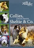 Collies, Sheltie & Co