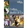 Collies, Sheltie & Co