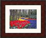 Picture Frame Mahogany .. 2.75'' wide