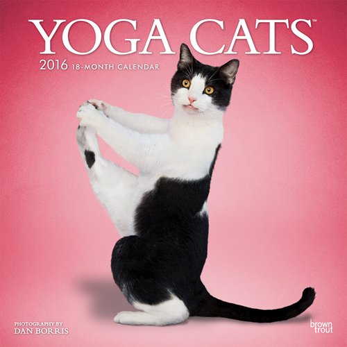 Yoga Cats 2016 Square 12x12 (Multilingual Edition)