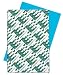 Wausau Astrobrights Heavy Duty Paper, 24 lb, 11 X 17 Inches, Lunar Blue, 500 Sheets (22523)