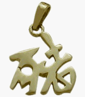 10 Karat Yellow Gold Chinese PIG Zodiac Pendant with 18" chain