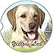 E&S Pets Yellow Labrador Coaster, 3