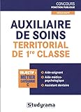 Image de Auxiliaire de soins territorial de 1re classe