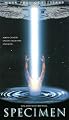 play video on Amazon Instant Video