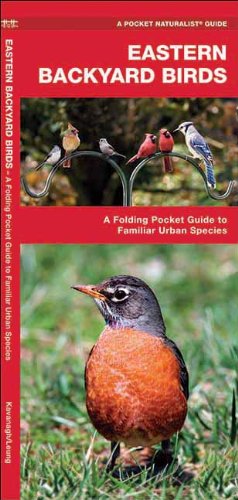 Eastern Backyard Birds: A Folding Pocket Guide to Familiar Urban Species (Pocket Naturalist Guide Series)