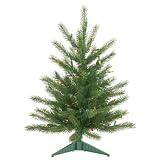 2' Pre-Lit Tiffany Spruce Christmas Tree - Clear Lights