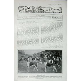 1907 Hounds Dogs Cotswold Hunting Nile Sudan Omdurman