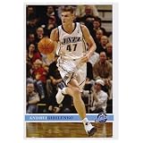 (24x36) Andrei Kirilenko (Utah Jazz) Sports Poster