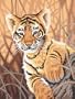 Dimensions PaintWorks/Paint By Number Tiger Cub