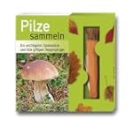 Pilze sammeln-Set: Die wichtigsten Sp...