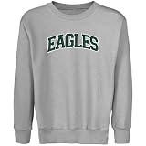 NCAA Eastern Michigan Eagles Youth Ash Arch Applique Crew Neck Fleece Sweatshirt