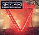 A Flash Flood Of Colour