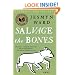 Salvage the Bones: A Novel