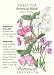 Sweet Pea Perennial Blend