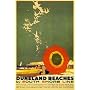 DUNELAND BEACHES UMBRELLA SEAGULL GULL SAILBOAT SOUTH SHORE LINE CHICAGO ILLINOIS VINTAGE POSTER REPRO