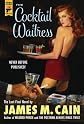 The Cocktail Waitress