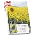 Busch H0 Sonnenblumen 60 St�ck